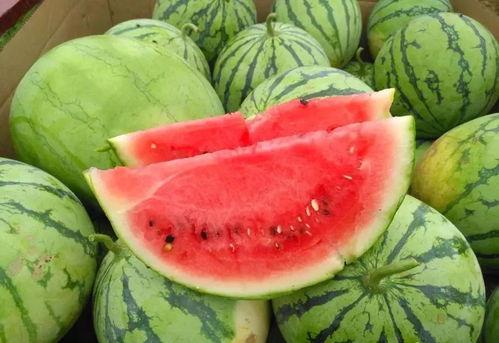 今日必吃大瓜每日吃瓜fun 今日吃瓜全集完整版,揭秘今日吃瓜全集完整版精彩瞬间