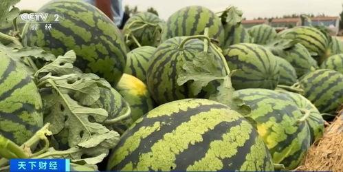 热点吃瓜,吃瓜群众如何解读明星事件