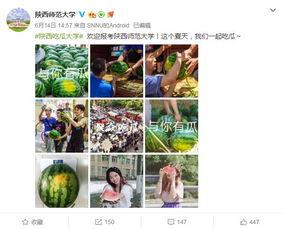 今日吃瓜学生校园什么网站,学生热议焦点一网打尽