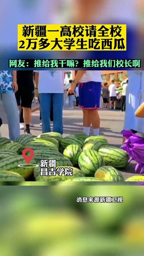 今日吃瓜学生校园什么网站,学生热议焦点一网打尽